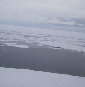 В Баренцевом море у траулера отказал двигатель