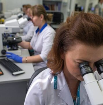 В институте СО РАН надеются решить вопрос с зарплатами ученых в течение двух дней