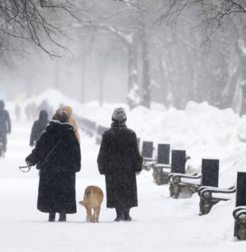В Москве объявили оранжевый уровень погодной опасности из-за мороза