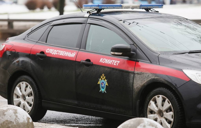 В Новосибирске возбудили уголовное дело после наезда автомобиля на женщину с ребенком

