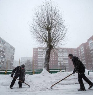 В УК РФ могут появиться меры в виде обязательных и ограниченно оплачиваемых работ