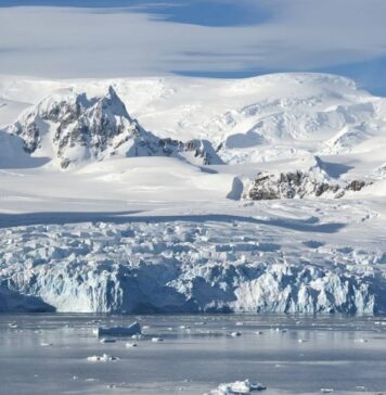 Во льдах Антарктиды нашли неизвестных животных