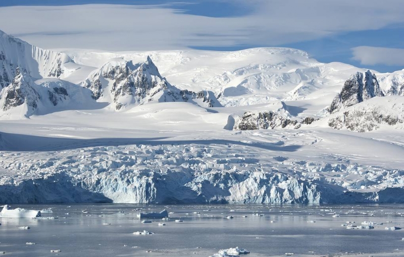 Во льдах Антарктиды нашли неизвестных животных

