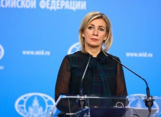 Захарова рассказала о реакции Борреля на видео о провокациях на митингах в России