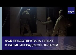 ФСБ предотвратила теракт в Калининградской области