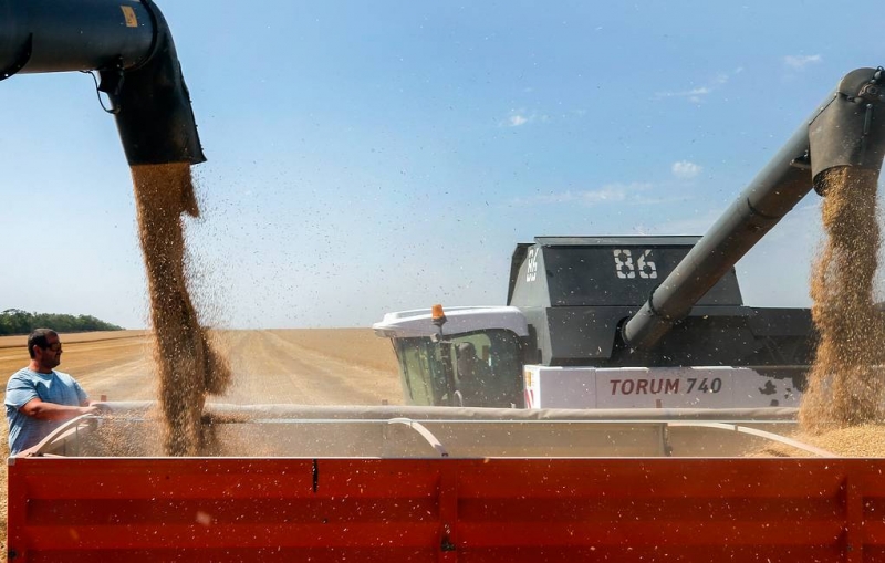 Кабмин Украины запретил ввоз из России пшеницы, ржи и подсолнечного масла