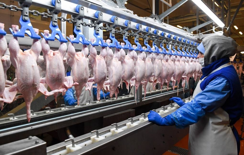 Минсельхоз ожидает полного восстановления производства мяса птицы и яиц к маю

