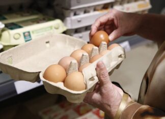 Национальный союз птицеводов ожидает снижения цен на яйца и птицу в России в апреле-мае