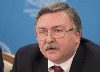 Постпред РФ в Вене рассказал об интересе представителей дипкорпуса к российским вакцинам