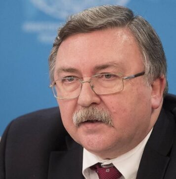 Постпред РФ в Вене рассказал об интересе представителей дипкорпуса к российским вакцинам