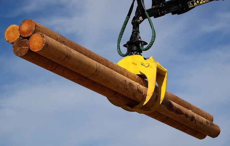 В Иркутской области выявили контрабанду леса на сумму более 1 млрд рублей