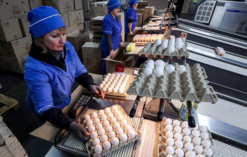 В Национальном союзе птицеводов договорились о сдерживании роста цен на мясо птицы и яйца