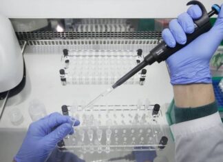 В России обнаружили южноафриканский штамм коронавируса