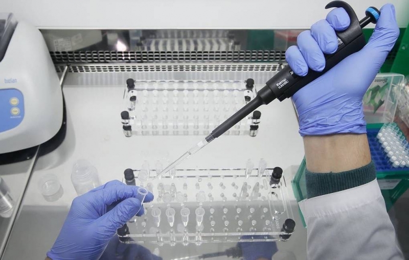 В России обнаружили южноафриканский штамм коронавируса