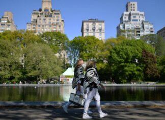 В северном полушарии спрогнозировали почти полугодовое лето к началу XXII века