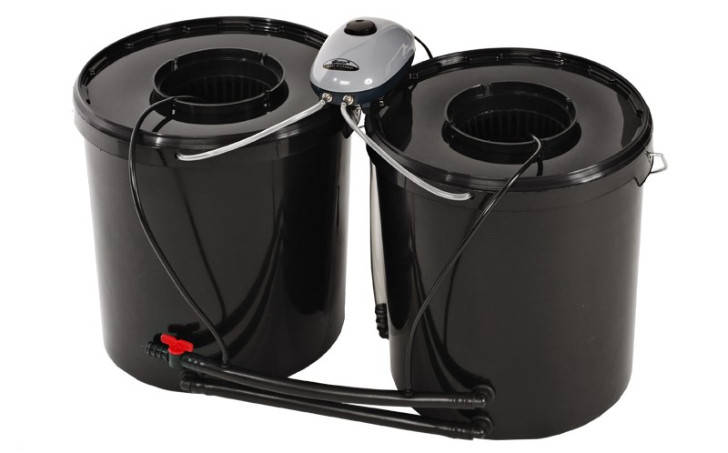 Что такое гидропонные системы и где применяются