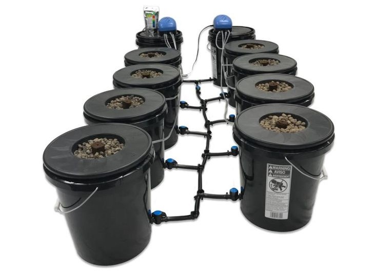 Что такое гидропонные системы и где применяются