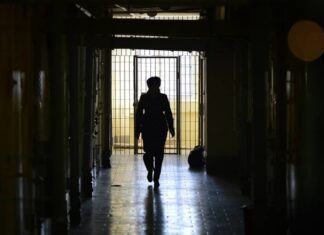 Арестованный инспектор отдела оперативного контроля ИФНС №10 признал вину