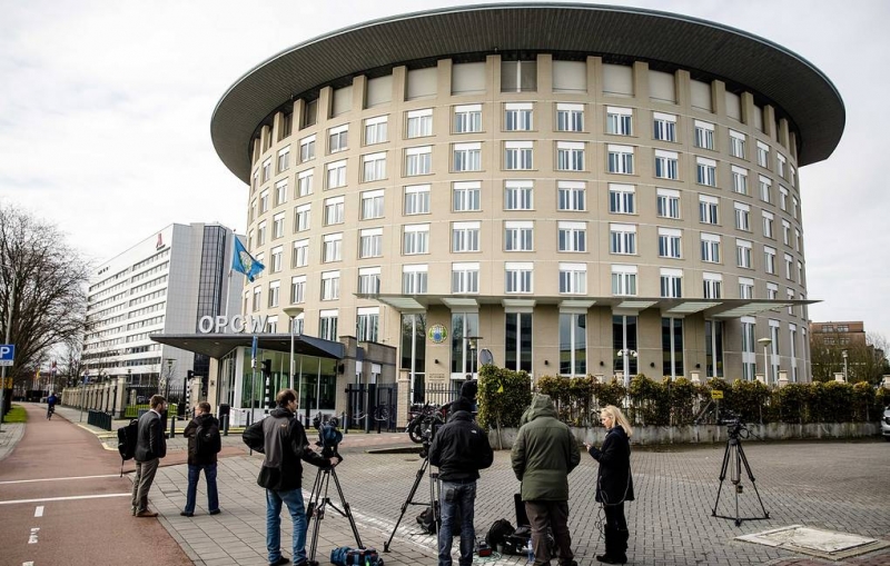 Члены ОЗХО одобрили резолюцию, ограничивающую права Сирии

