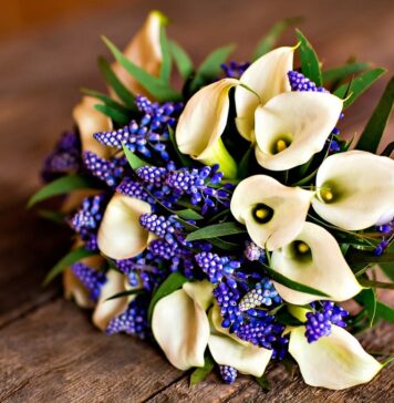 Доставка цветов во Львове