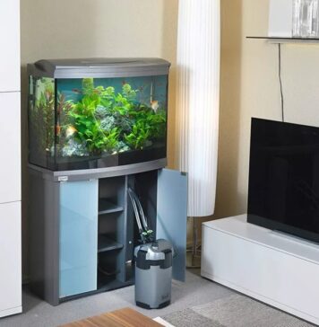 Как выбрать фильтр для аквариума