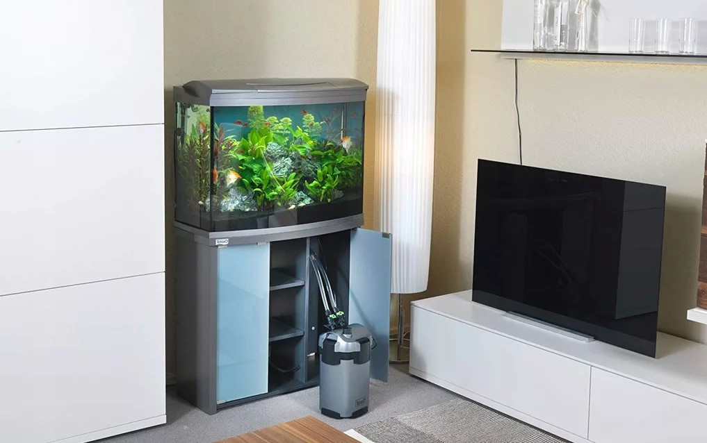 Как выбрать фильтр для аквариума