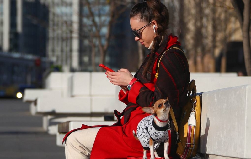 Минцифры исключило возможность передачи предустановленными приложениями данных россиян