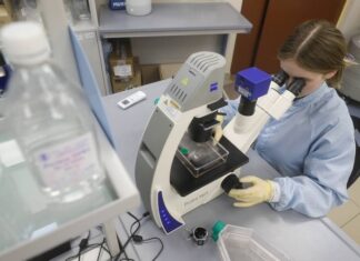 Минздрав выдал разрешение на исследования вакцины от коронавируса «Эпиваккорона-Н»