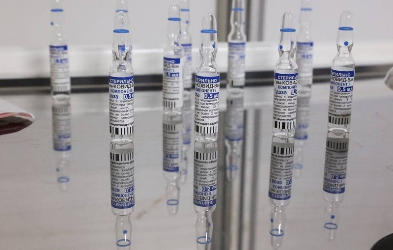 Reuters: ФРГ намерена начать предварительные переговоры с Россией о закупке "Спутника V"

