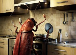 Профессиональное уничтожение тараканов