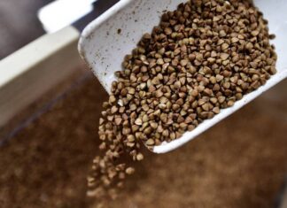 В Минсельхозе прокомментировали информацию о возможном подорожании гречки