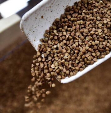 В Минсельхозе прокомментировали информацию о возможном подорожании гречки