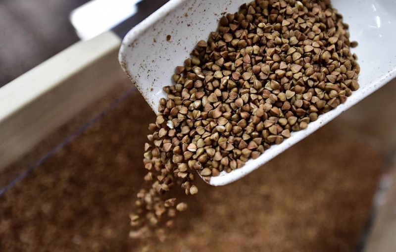 В Минсельхозе прокомментировали информацию о возможном подорожании гречки

