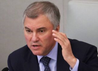 Володин: ПАСЕ и ПА ОБСЕ должны потребовать от Киева объяснений в связи с гибелью ребенка