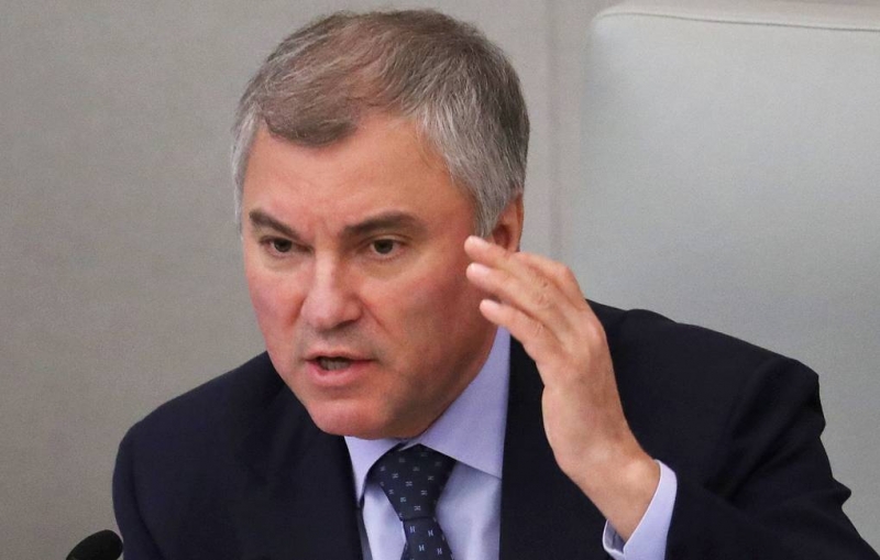 Володин: ПАСЕ и ПА ОБСЕ должны потребовать от Киева объяснений в связи с гибелью ребенка