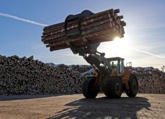 Кабмин вводит пошлины в 10% на вывоз отдельных видов лесоматериалов