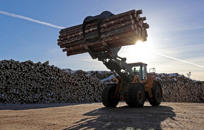 Кабмин вводит пошлины в 10% на вывоз отдельных видов лесоматериалов

