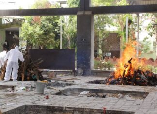 В Индии зафиксировали за сутки максимальное число смертей из-за коронавируса