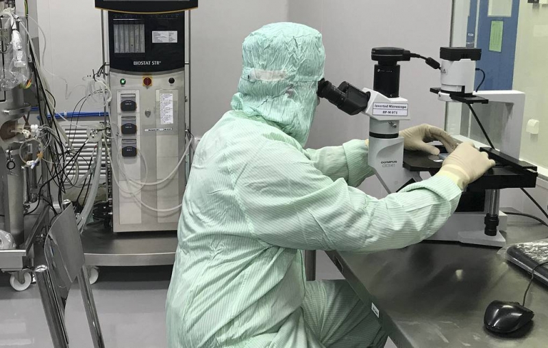 Биологи нашли мутацию, "научившую" коронавирус заражать человека

