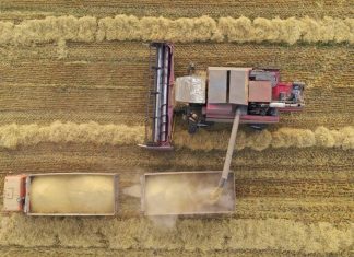 Пошлина на экспорт пшеницы с 17 июня составит $33,3 за тонну