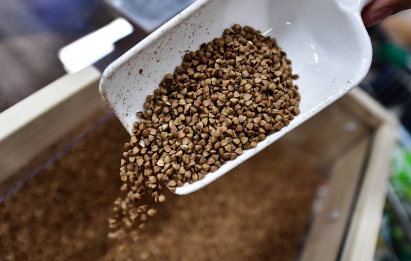 Россия ввела запрет на экспорт гречихи