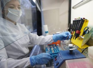 В Центре им. Гамалеи считают, что в Москве могли появиться свои штаммы коронавируса