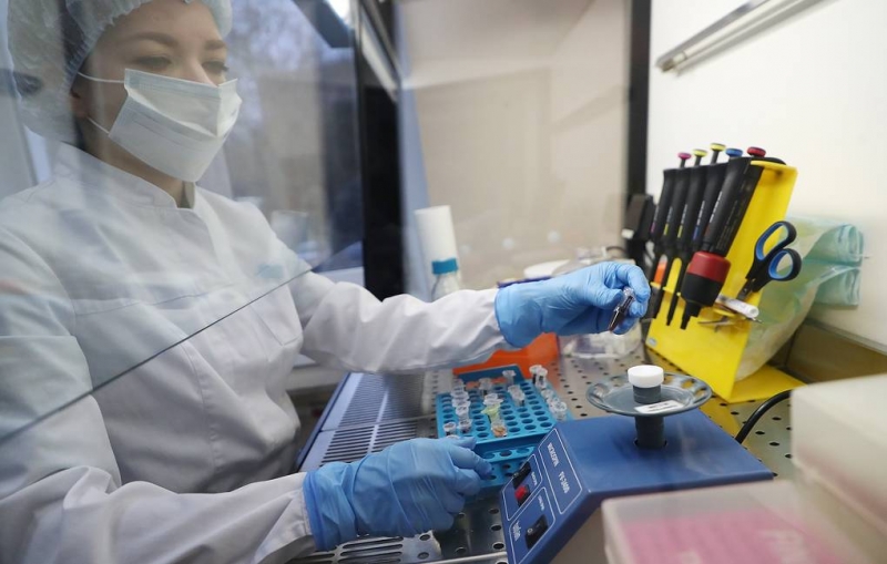 В Центре им. Гамалеи считают, что в Москве могли появиться свои штаммы коронавируса

