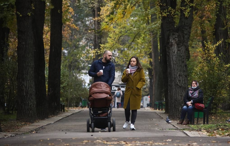 В Общественной палате предложили ввести отцовский капитал