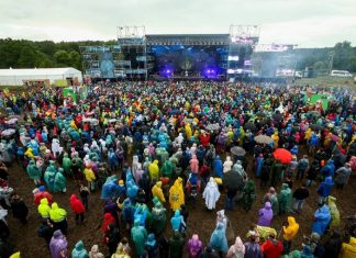 В Тульской области отменили фестиваль «Дикая мята»