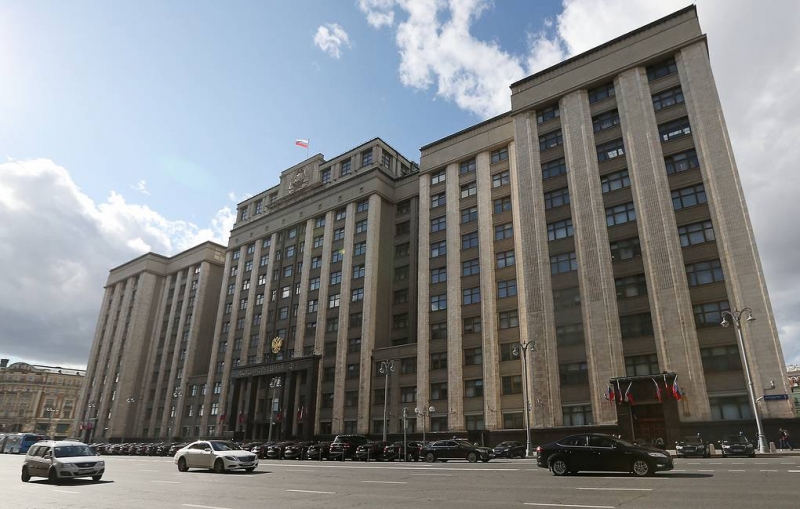 Законопроект о запрете на услуги суррогатных матерей для иностранцев внесли в Госдуму

