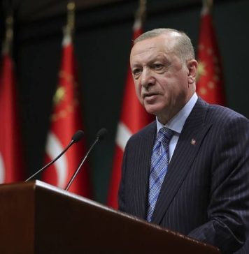 Эрдоган заявил, что Турция мобилизовала все возможности для ликвидации пожаров