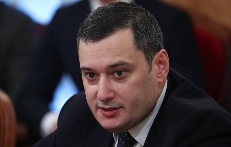 Хинштейн попросит обжаловать домашний арест девушки, сбившей детей в Москве

