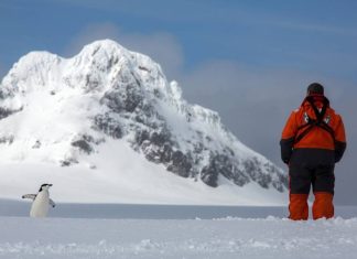 Кабмин утвердил дорожную карту по реализации стратегии развития деятельности в Антарктике