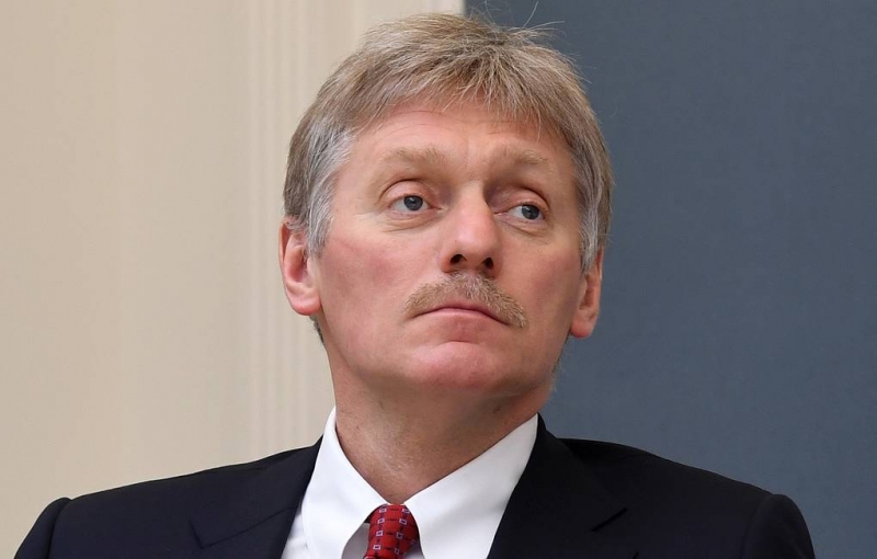 Песков назвал обращение жителей омского села к Меркель оправданным гневом в адрес властей

